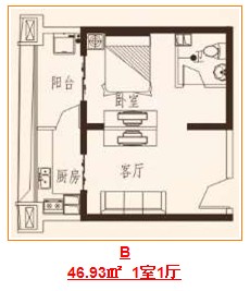 B 1室1厅 46.93㎡